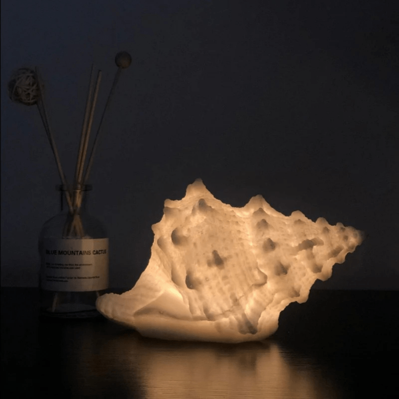 SeaGlow™ draagbare schelp nachtlamp op batterijen – productafbeelding 1