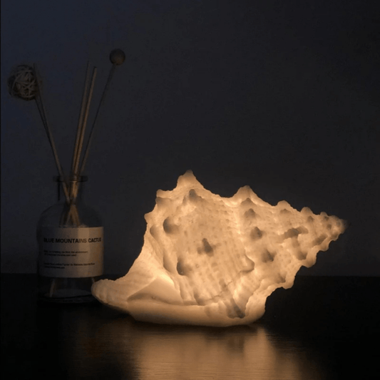 SeaGlow™ draagbare schelp nachtlamp op batterijen – productafbeelding 1