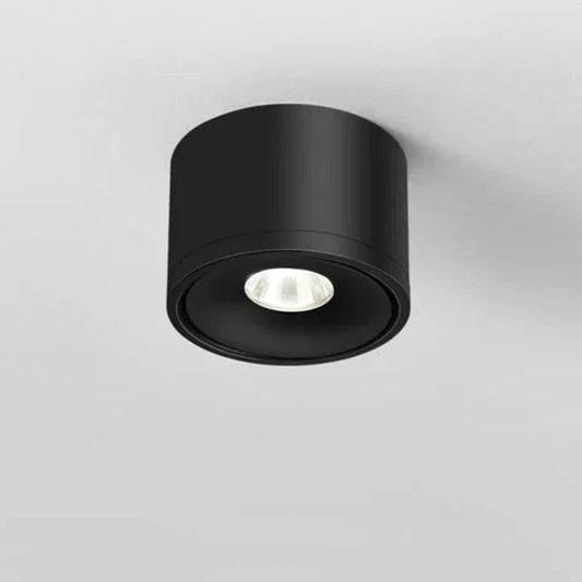 LumaSphere™ 360° verstelbare LED-plafondspot – productafbeelding 1